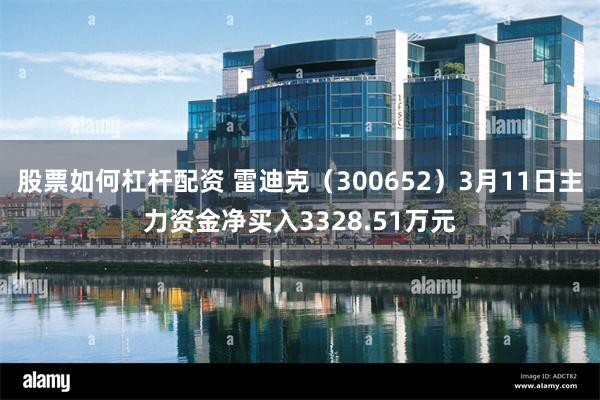 股票如何杠杆配资 雷迪克（300652）3月11日主力资金净买入3328.51万元