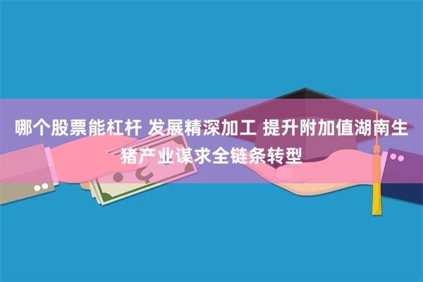 哪个股票能杠杆 发展精深加工 提升附加值湖南生猪产业谋求全链条转型