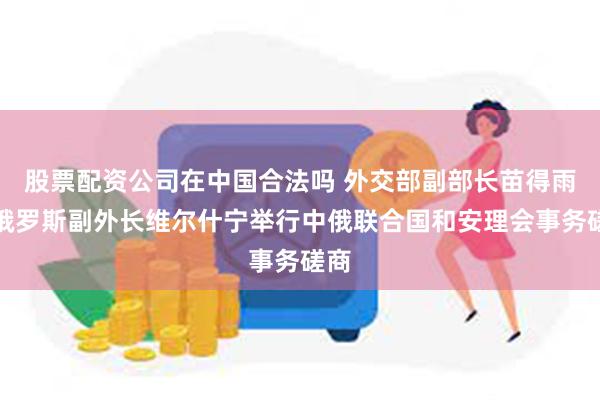 股票配资公司在中国合法吗 外交部副部长苗得雨同俄罗斯副外长维尔什宁举行中俄联合国和安理会事务磋商