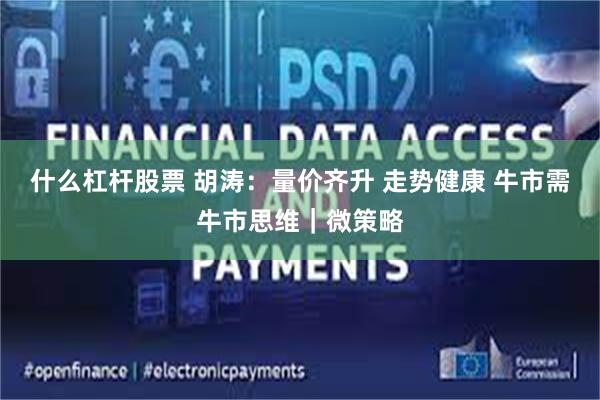 什么杠杆股票 胡涛：量价齐升 走势健康 牛市需牛市思维｜微策略