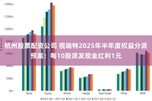 杭州股票配资公司 视瑞特2025年半年度权益分派预案：每10股派发现金红利1元
